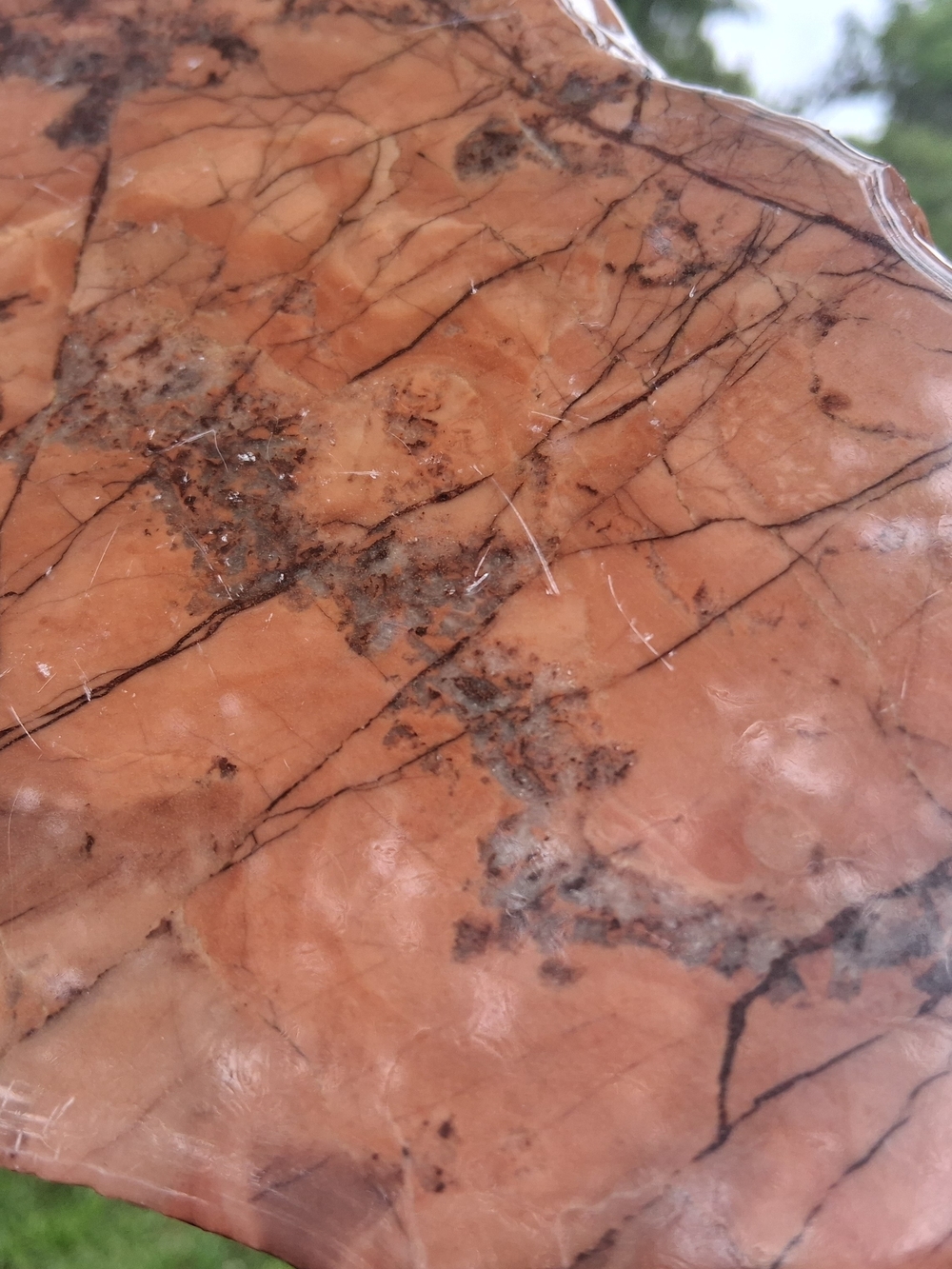 Kona Dolomite Polished Slab Display 8.5" Stone Rock Specimen Michigan - Picture 5 of 10
